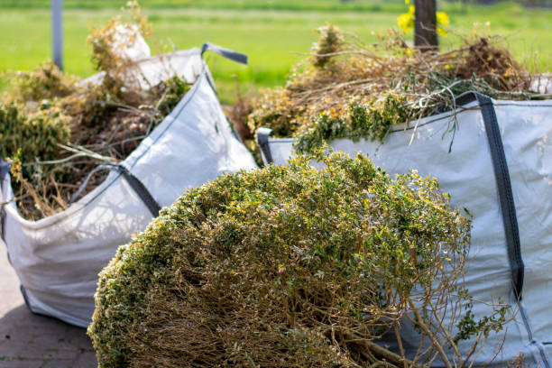 Best Moving and Downsizing Cleanouts  in , GA